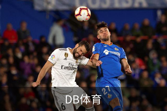 DB体育 公司简介